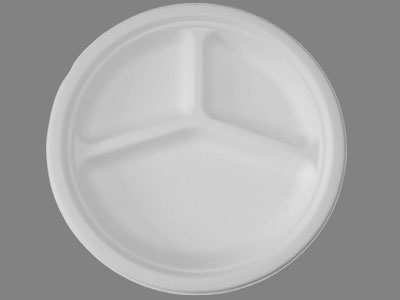 10inch Three-compartment Plate