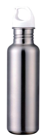 Stainless Steel Bottle