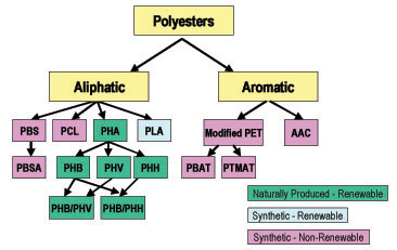 Is Polyester Biodegradable?