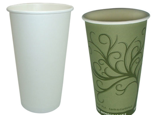 20 Ounces PLA (Compostable) Hot Cups