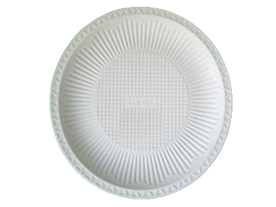 9 inch Dinner Plate