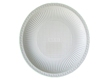 9 inch Dinner Plate